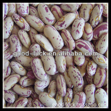 All Kinds of Beans, Heilongjiang Origin